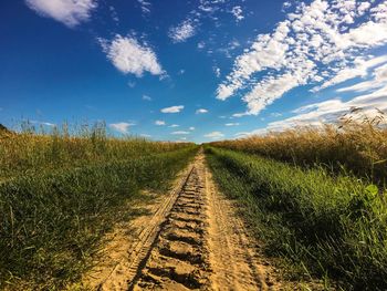 Tire tracks on dirt road amidst grass against blue sky
