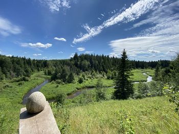 Ness creek, saskatchewan the egg