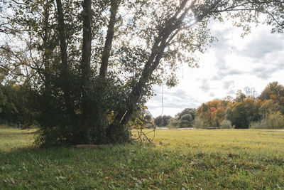 Trees on field against sky