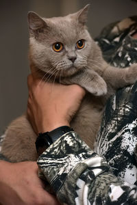 Midsection of person holding kitten