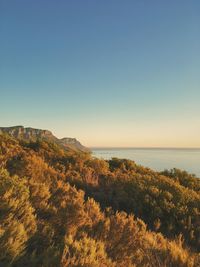 Scenic view of sea and clear sky