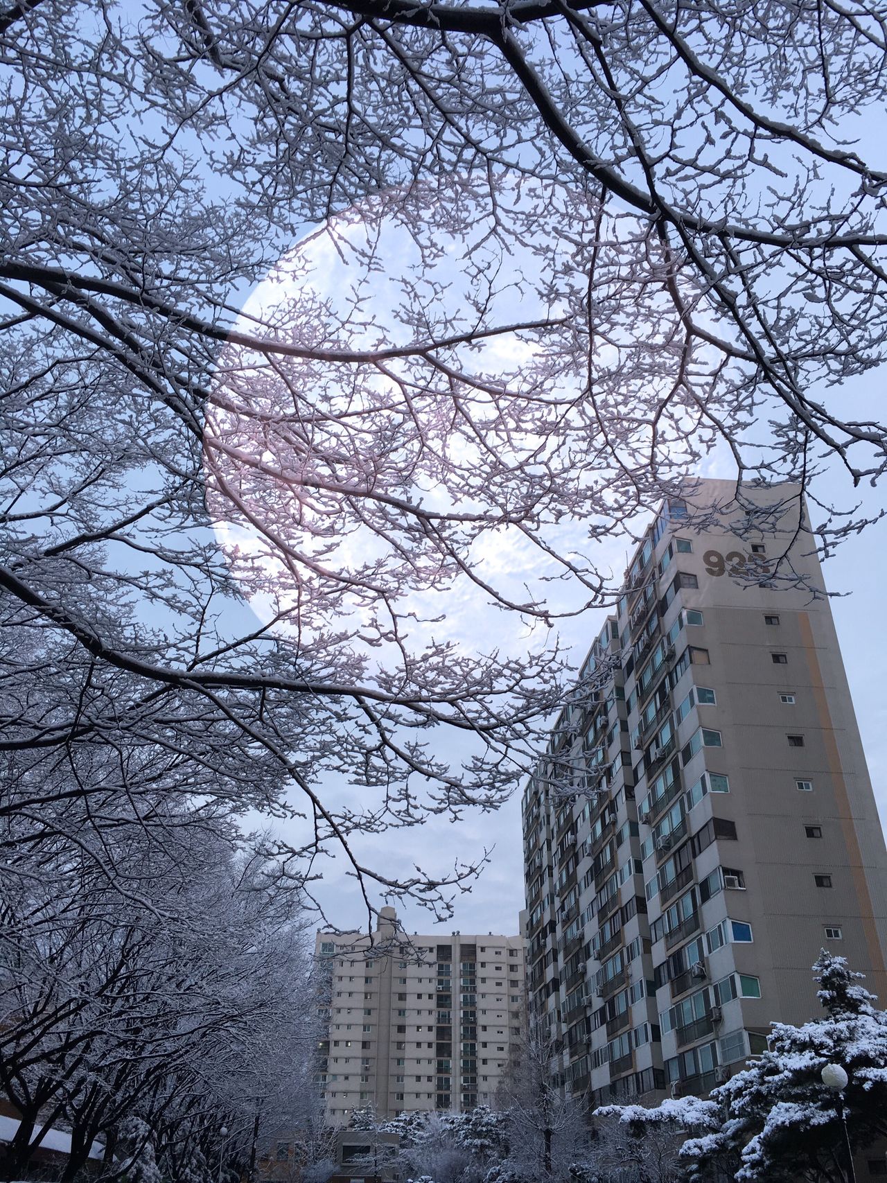 서울신서초등학교