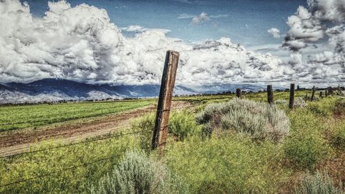 Scenic view of grassy field against cloudy sky