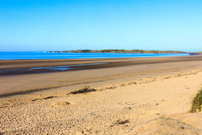 Scenic view of beach against clear blue sky
