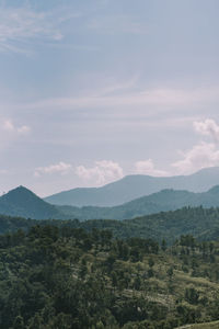 Scenic view of landscape against sky