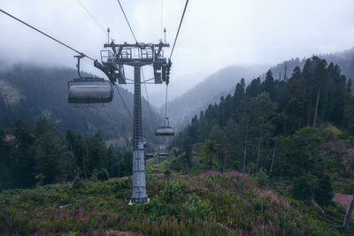 Overhead cable car in forest against sky