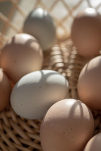 Basket of natural brown and bluish chicken eggs from local farmer's market