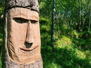 Graffiti on tree trunk in forest