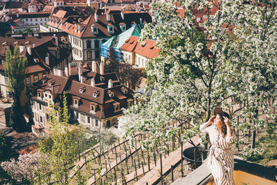 High angle view of woman by trees in city