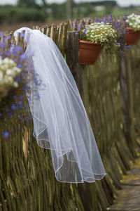 Close-up of wedding veil on fence