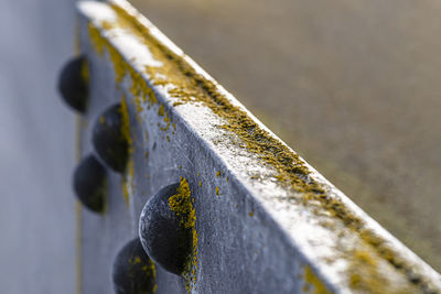 Macro shot of the metal edge surface of a pillar bridge with protruding rivets and moss covered on