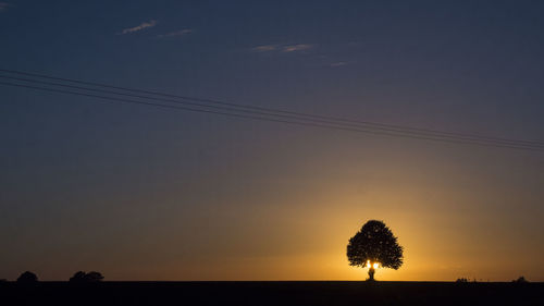 Silhouette trees against sky during sunset