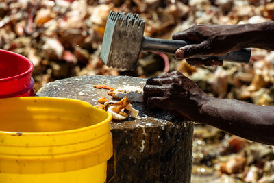 Cropped hands hammering seafood on wood