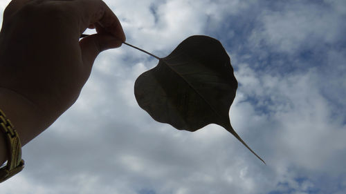 Low angle view of man holding leaf against sky