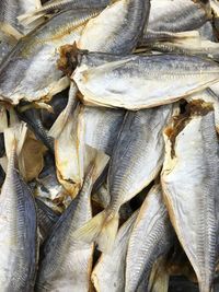 Full frame shot of dried fishes for sale