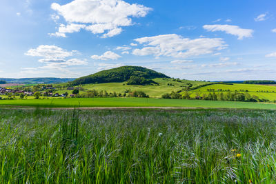 Scenic view of agricultural field against sky