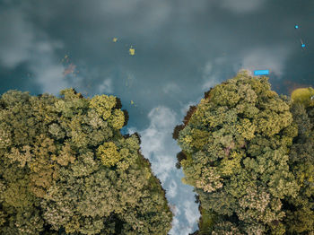 Scenic view of trees against sky