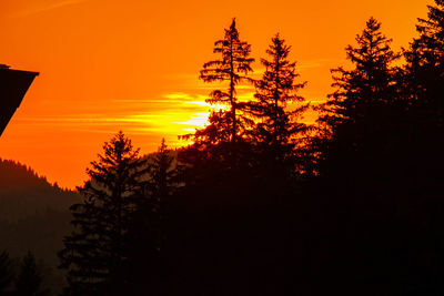 Low angle view of silhouette trees against sky during sunset