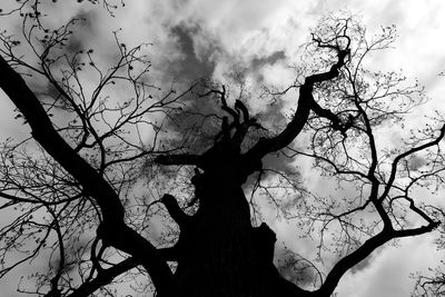 Low angle view of bare trees against cloudy sky