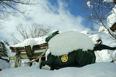 snow