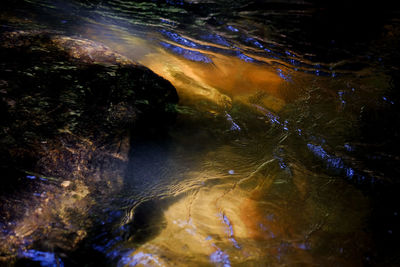 High angle view of swimming in sea