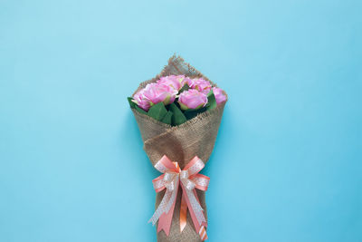 Close-up of pink flower against blue background