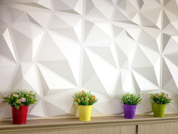 Close-up of potted plant on table