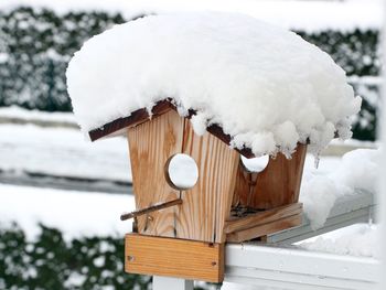 Close-up of birdhouse