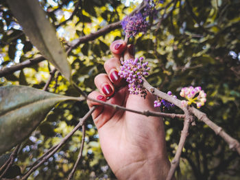 Cropped hand holding flower