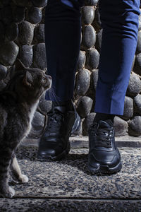 Low section of person standing by cat