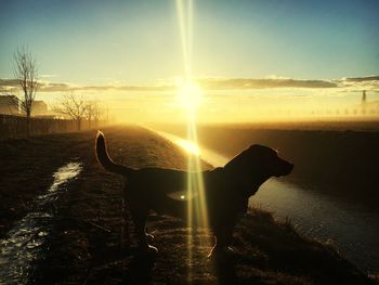 Silhouette man on beach against sky during sunset