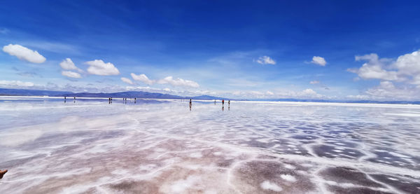 Scenic view of beach against blue sky