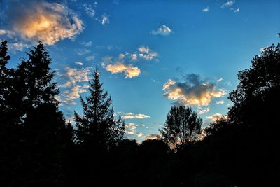 Low angle view of silhouette trees against sky