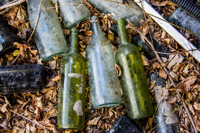 Empty bottles abandoned among the autumn leaves in zovencedo, vicenza, italy