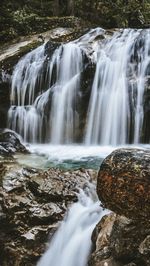 Scenic view of waterfall in forest
