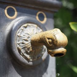 Close-up of a sculpture