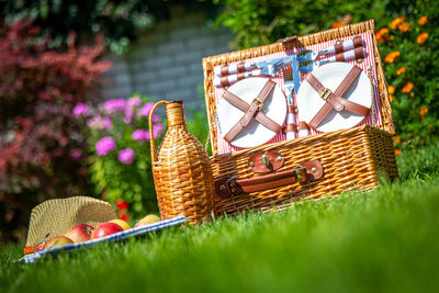 Close-up of hat in basket on field