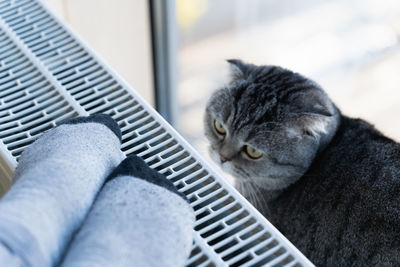 A human and a cat bask near the heating radiator in the cold season