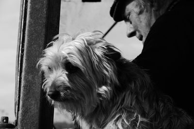 Low angle view of man and dog