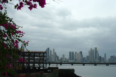 Buildings in city against sky