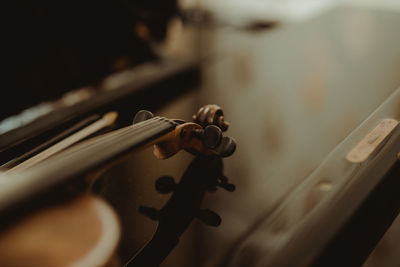 Close-up of violin