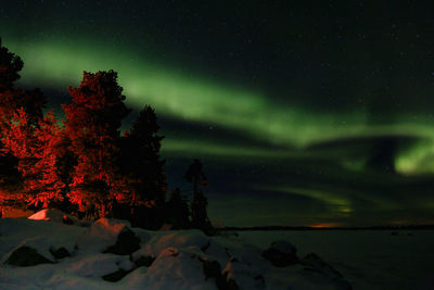 Scenic view of snow covered trees against sky at night