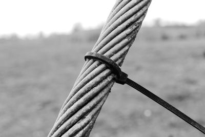 Close-up of barbed wire on wooden post
