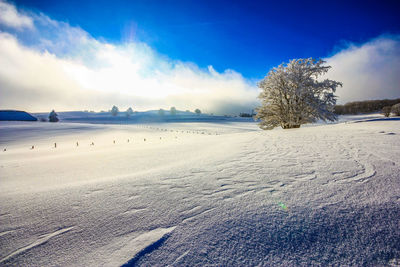 Scenic view of snowy field against sky