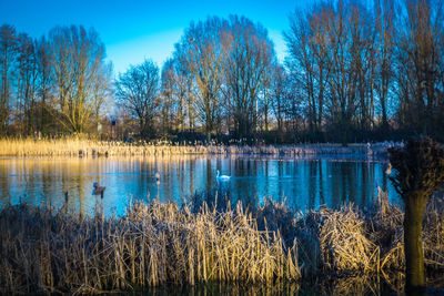 Scenic view of lake against blue sky