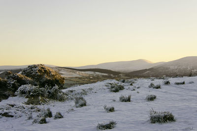 Scenic view of landscape against clear sky during winter