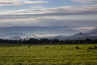 Scenic view of field against sky