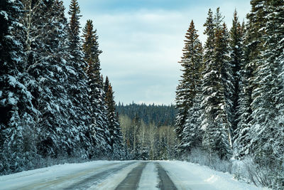 Road amidst trees against sky during winter