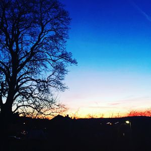 Low angle view of silhouette tree against sky