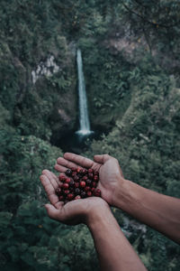Cropped hands holding food against waterfall